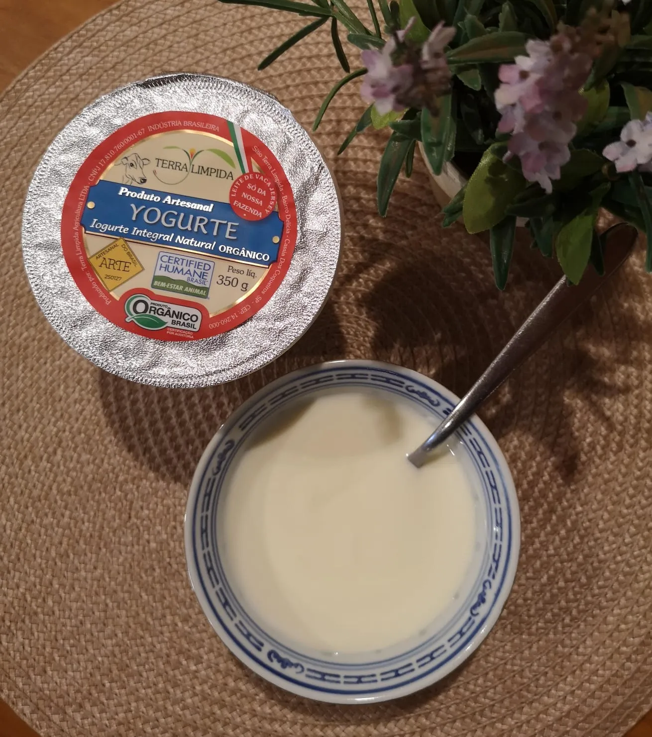 Yogurte Terra Límpida
